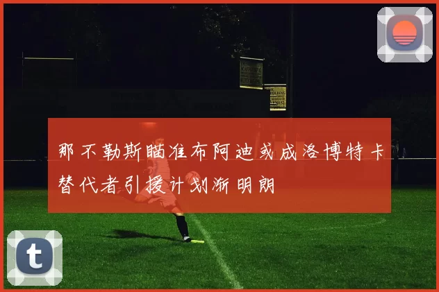 那不勒斯瞄准布阿迪或成洛博特卡替代者引援计划渐明朗