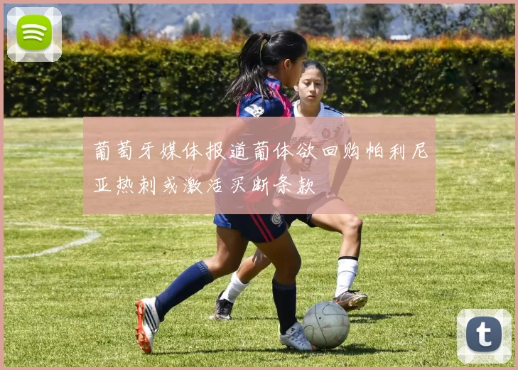 葡萄牙媒体报道葡体欲回购帕利尼亚热刺或激活买断条款